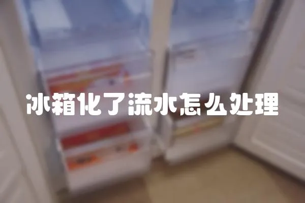 冰箱化了流水怎么處理