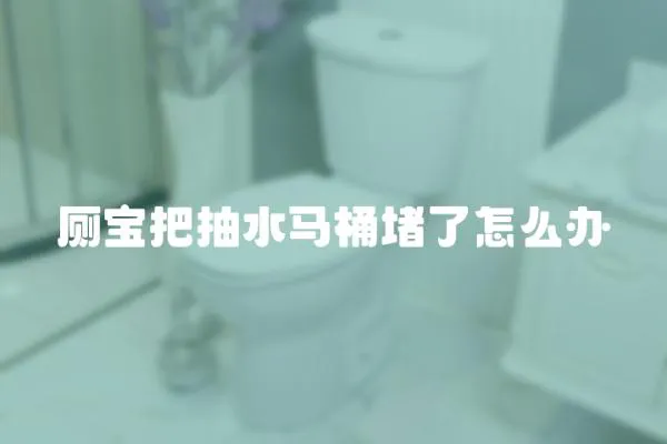 廁寶把抽水馬桶堵了怎么辦