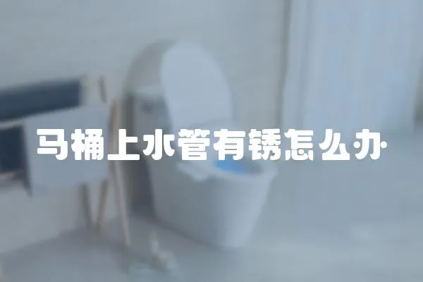 馬桶上水管有銹怎么辦