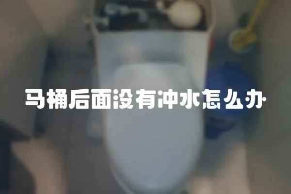 馬桶后面沒有沖水怎么辦