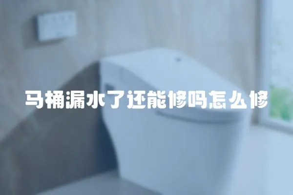 馬桶漏水了還能修嗎怎么修