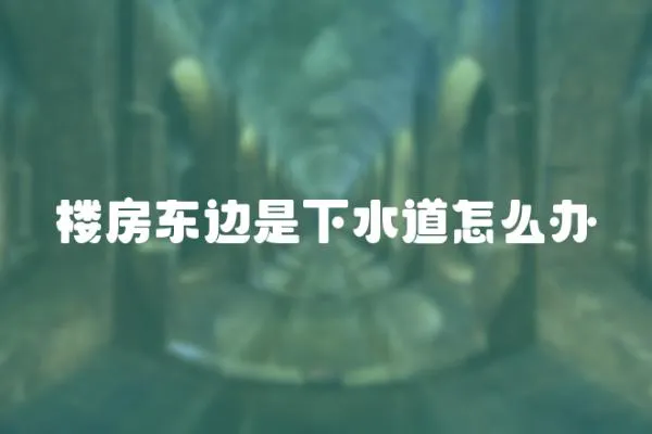 樓房東邊是下水道怎么辦