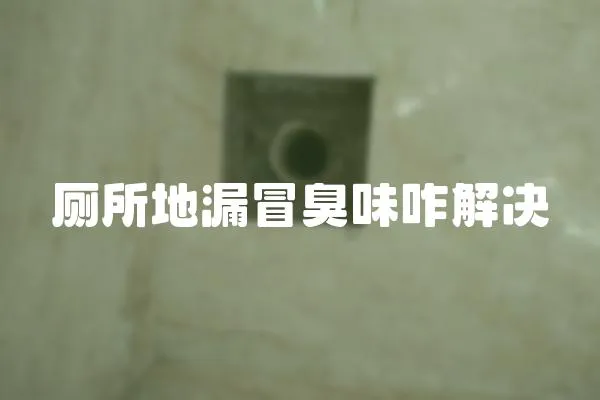 廁所地漏冒臭味咋解決