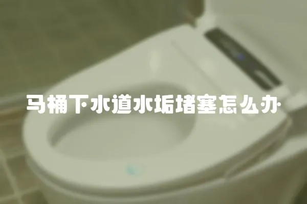 馬桶下水道水垢堵塞怎么辦