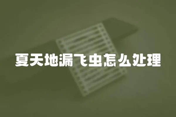 夏天地漏飛蟲怎么處理