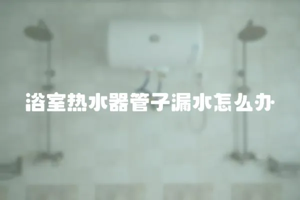 浴室熱水器管子漏水怎么辦