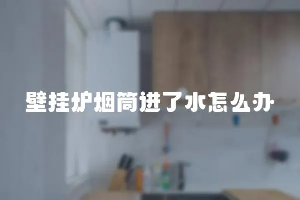 壁掛爐煙筒進了水怎么辦