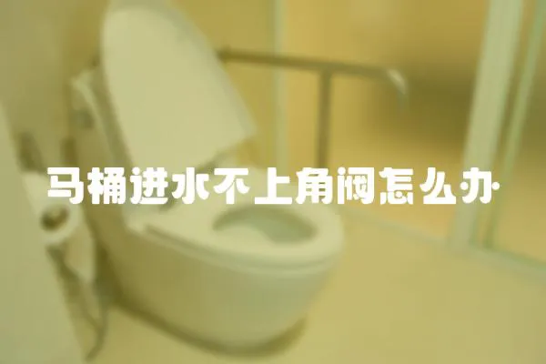 馬桶進水不上角閥怎么辦