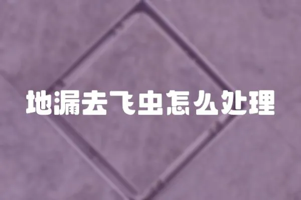 地漏去飛蟲怎么處理