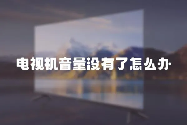 電視機音量沒有了怎么辦