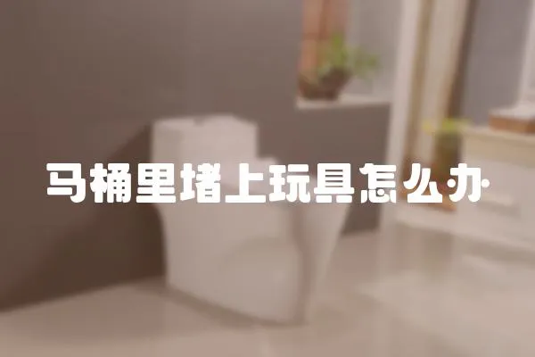 馬桶里堵上玩具怎么辦