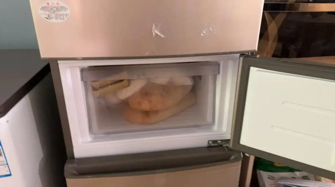 冰箱軟冷凍不凍怎么辦