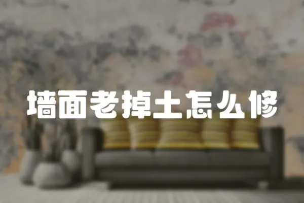 墻面老掉土怎么修