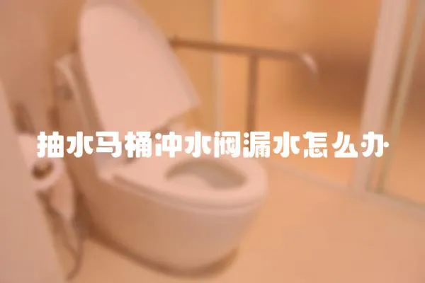 抽水馬桶沖水閥漏水怎么辦