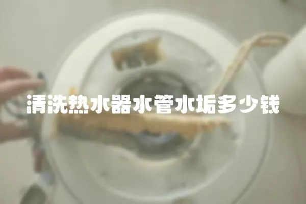 清洗熱水器水管水垢多少錢