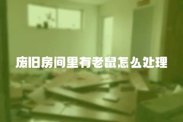 廢舊房間里有老鼠怎么處理