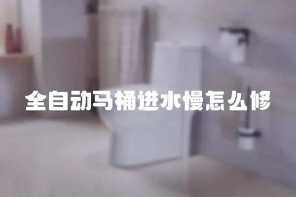 全自動馬桶進(jìn)水慢怎么修