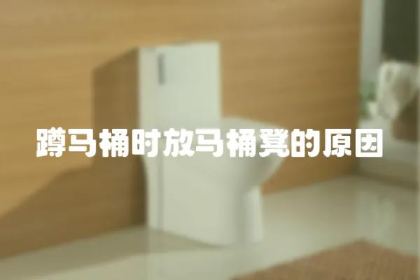 蹲馬桶時放馬桶凳的原因