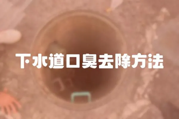 下水道口臭去除方法