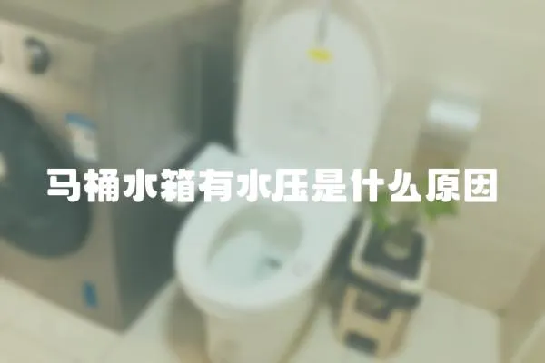 马桶水箱有水压是什么原因