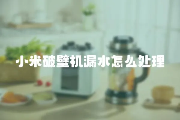 小米破壁機(jī)漏水怎么處理