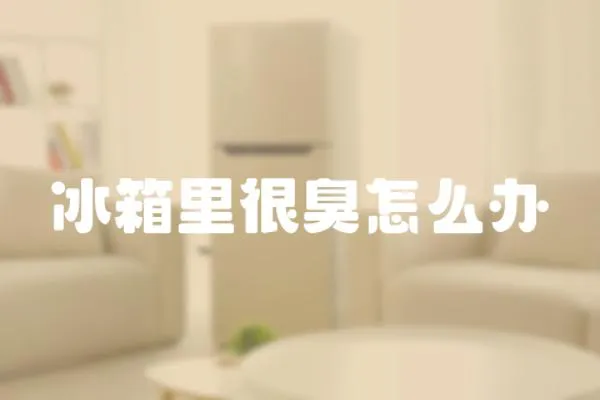 冰箱里很臭怎么辦