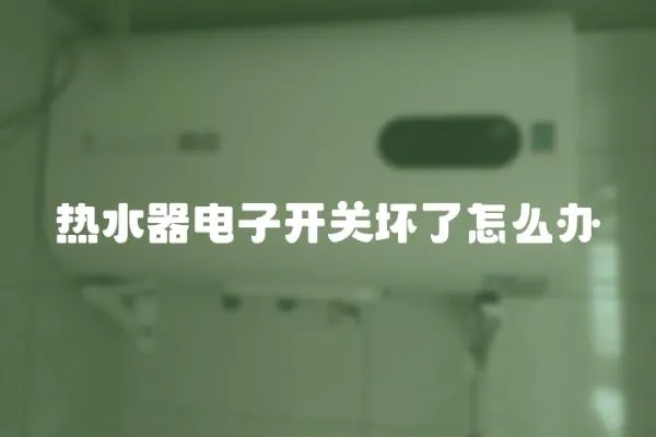 熱水器電子開關(guān)壞了怎么辦
