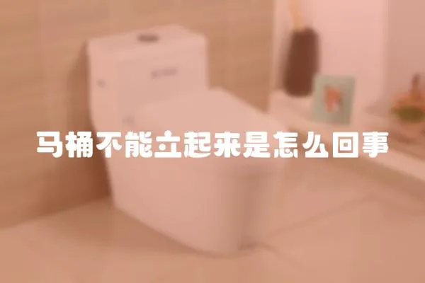 馬桶不能立起來是怎么回事