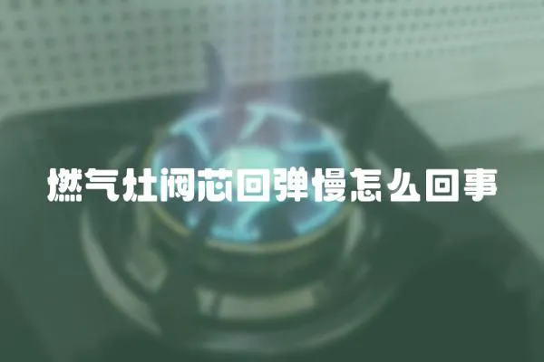 燃气灶阀芯回弹慢怎么回事