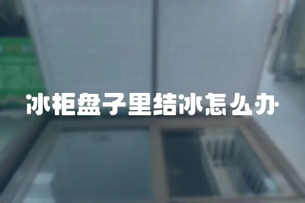 冰柜盤子里結冰怎么辦