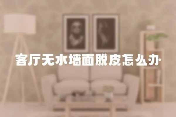 客廳無水墻面脫皮怎么辦