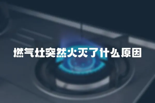 燃氣灶突然火滅了什么原因