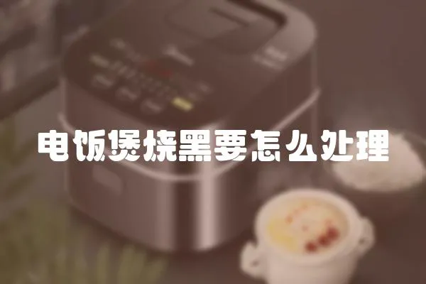 電飯煲燒黑要怎么處理