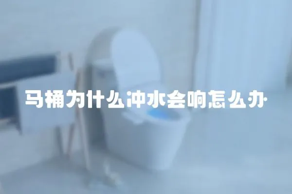 馬桶為什么沖水會響怎么辦