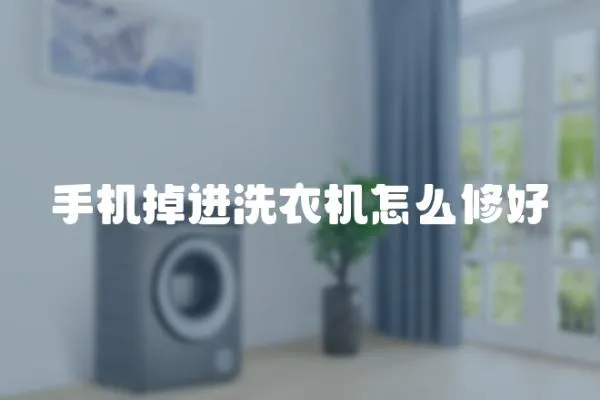 手機掉進洗衣機怎么修好