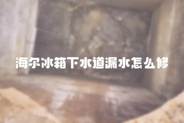 海爾冰箱下水道漏水怎么修