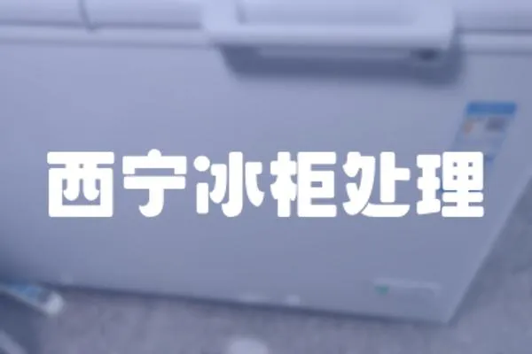 西寧冰柜處理