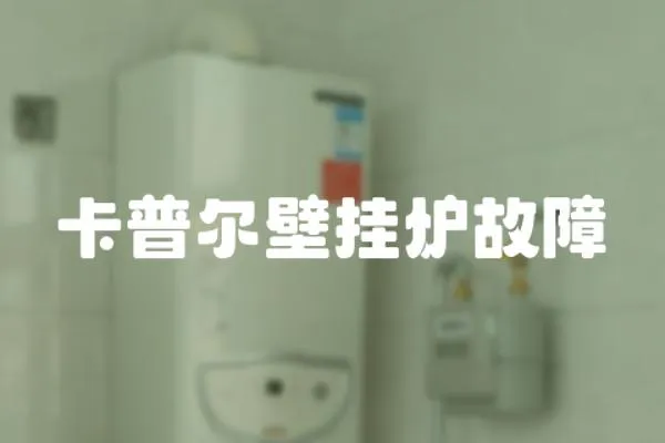 卡普爾壁掛爐故障