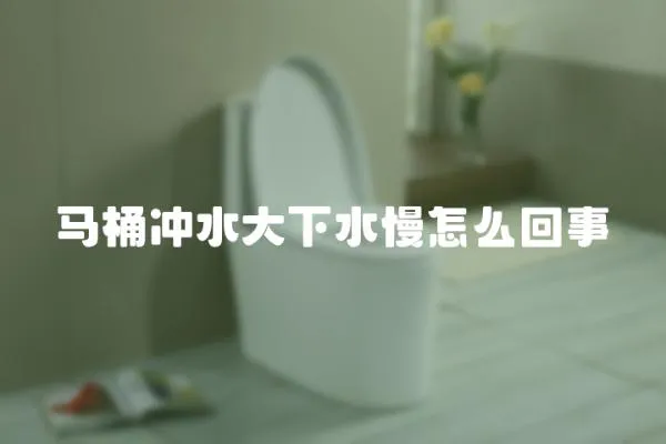 馬桶沖水大下水慢怎么回事