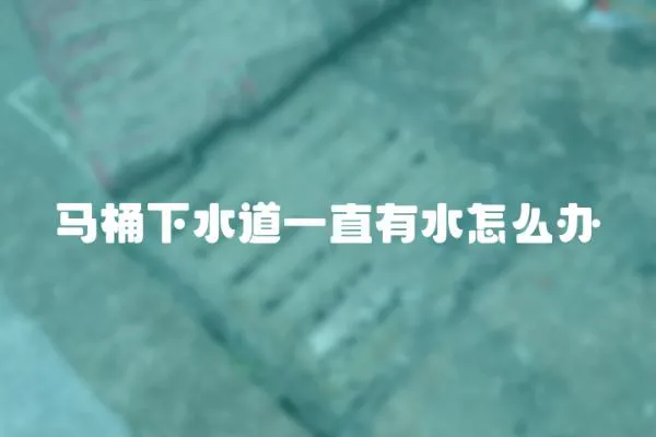 馬桶下水道一直有水怎么辦
