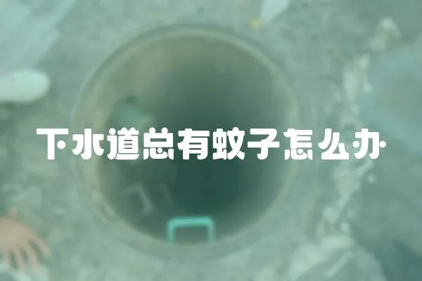 下水道總有蚊子怎么辦