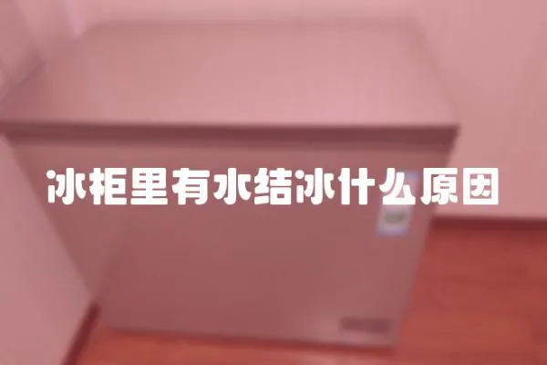 冰柜里有水結冰什么原因
