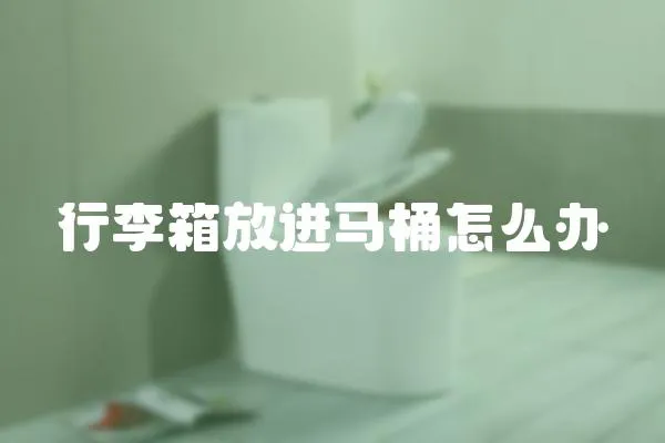 行李箱放進馬桶怎么辦