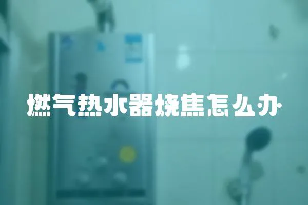 燃氣熱水器燒焦怎么辦