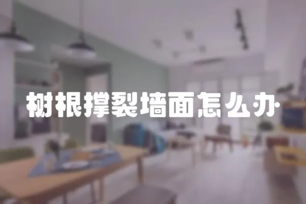 樹根撐裂墻面怎么辦