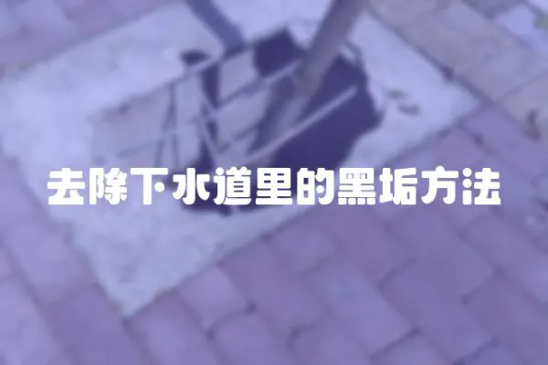 去除下水道里的黑垢方法