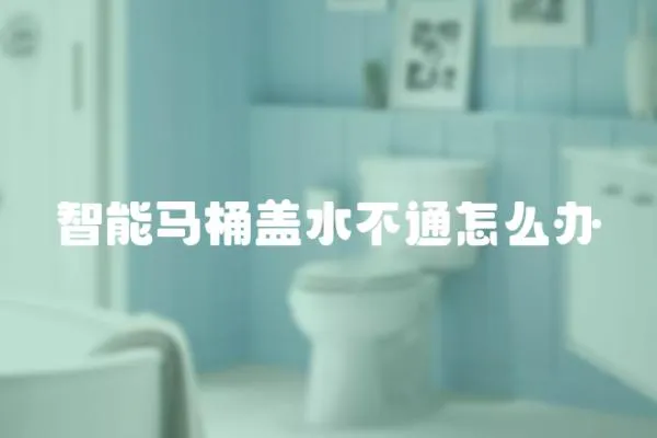 智能馬桶蓋水不通怎么辦