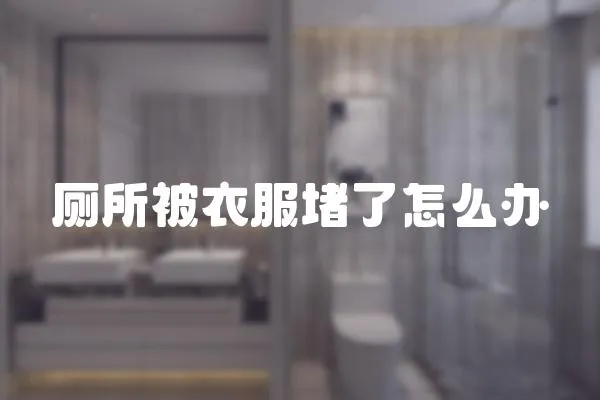 廁所被衣服堵了怎么辦