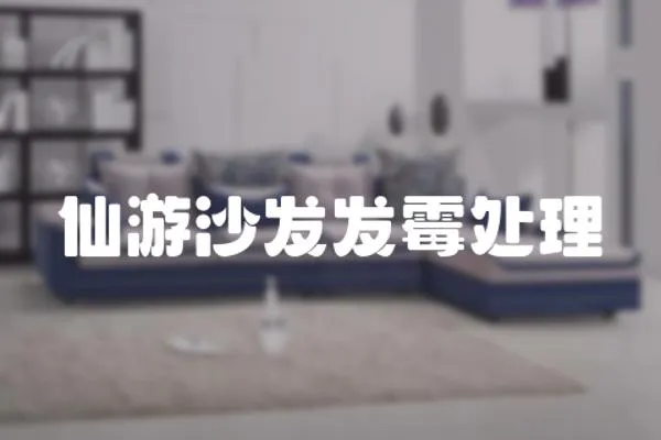 仙游沙發發霉處理