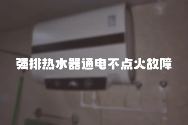 強(qiáng)排熱水器通電不點(diǎn)火故障